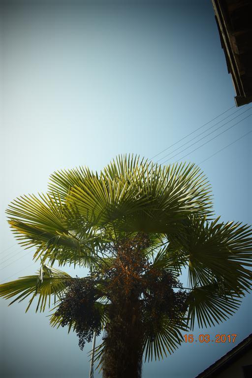 Apartmán Bali@Blu Sessa Exteriér fotografie